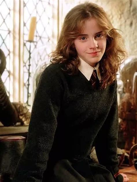 hermione granger hermione granger|The importance of Hermione Granger .